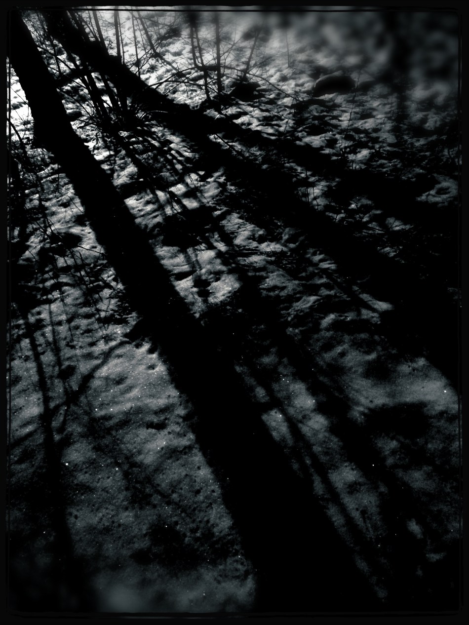 Photo 2013-01-16 00 43 08