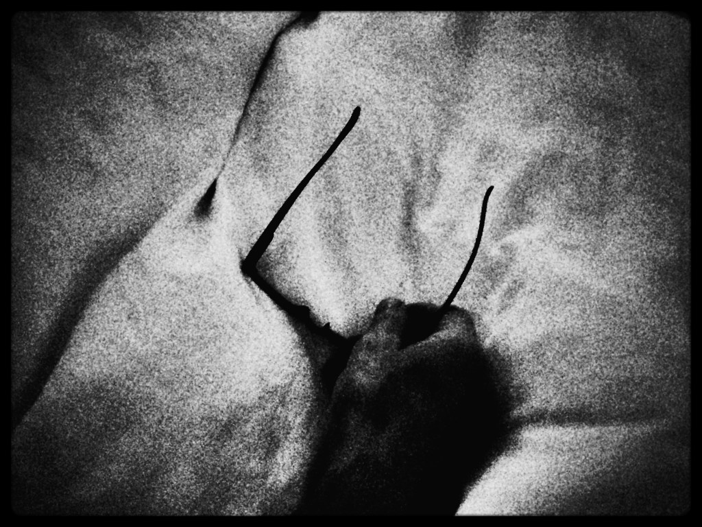 Foto 2014-07-15 05 51 55