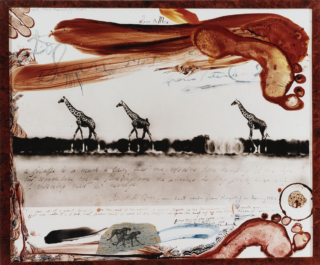 8615186403_e2d2fcfb34_b