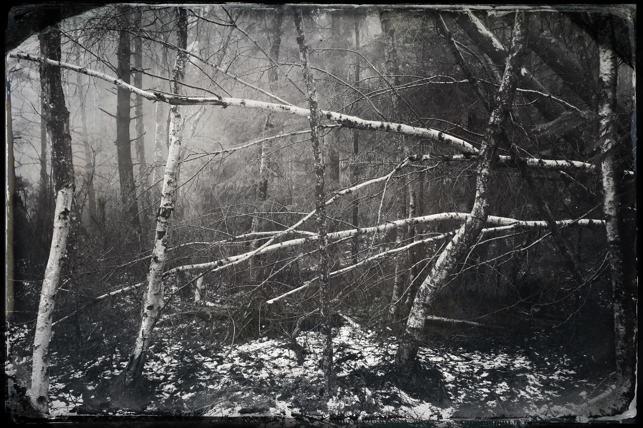 12615208_10206692480609537_3604097597258046507_o