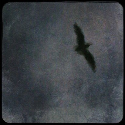 12743594_10206852622292979_6238008369656094711_n