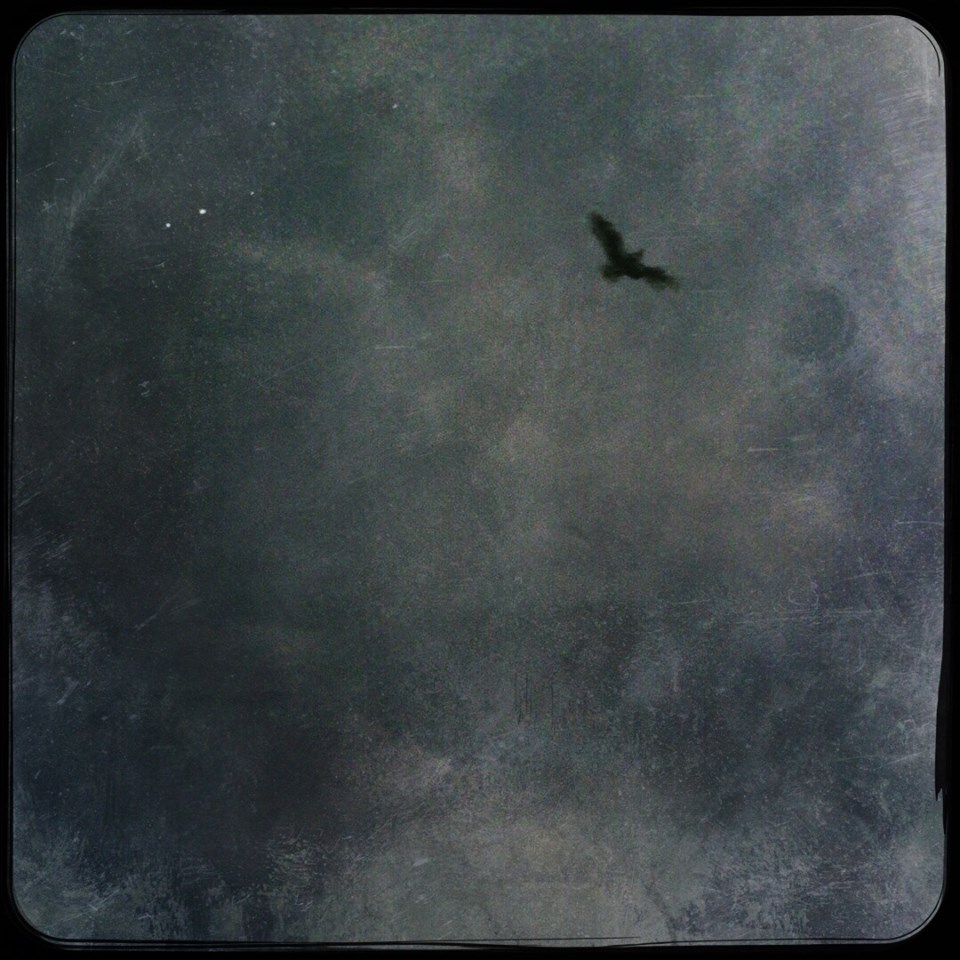 12743692_10206852622452983_8385361172691889632_n