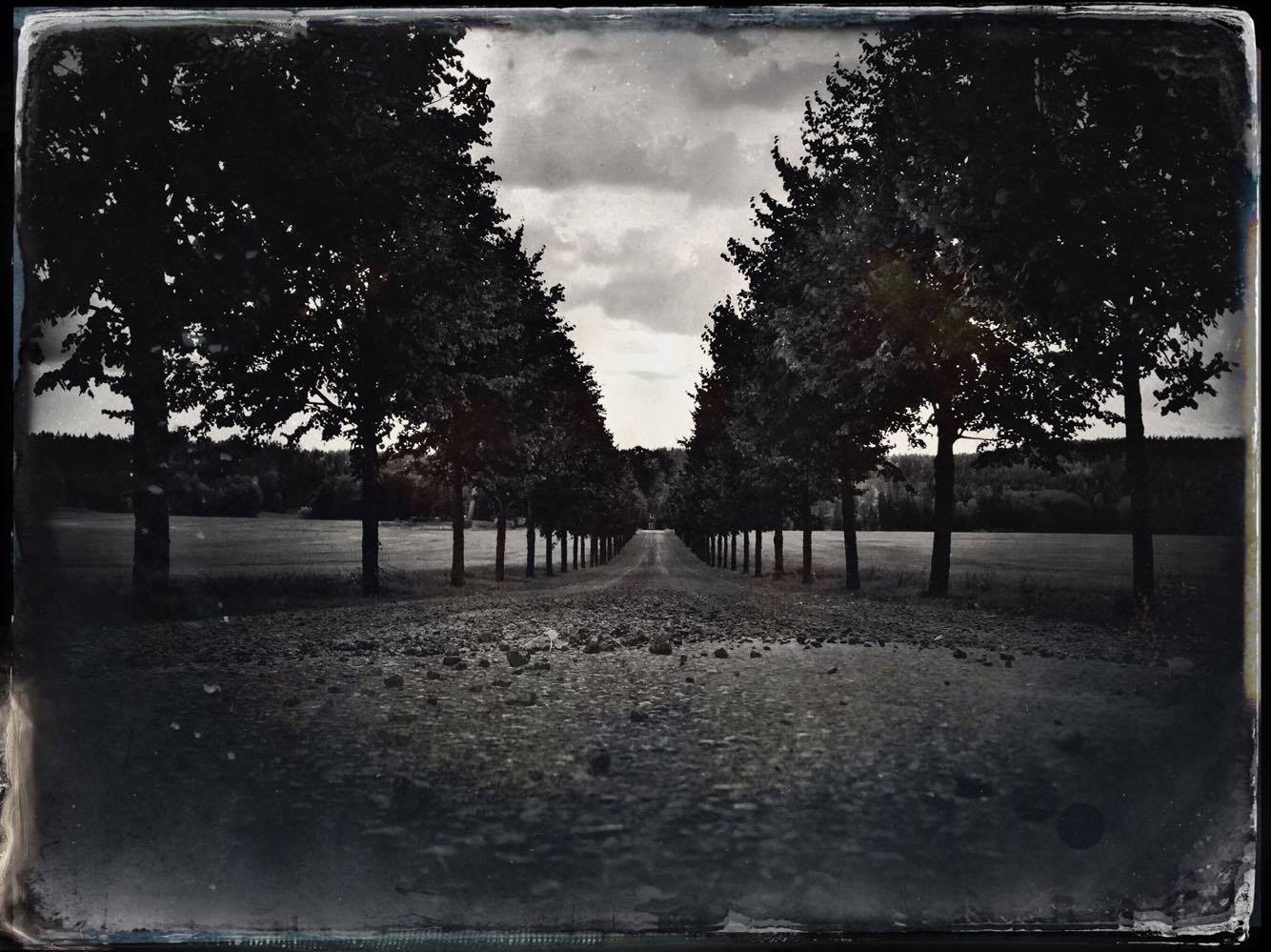 14423877_10208548033157191_296739436_o