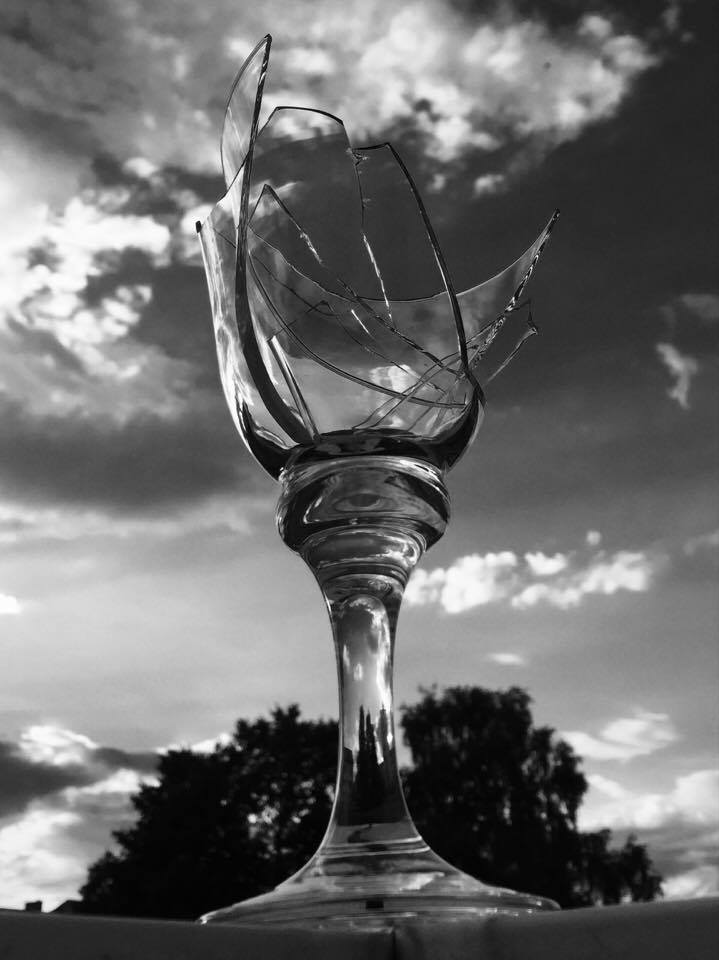 14469186_10208553742619924_1938818905_n