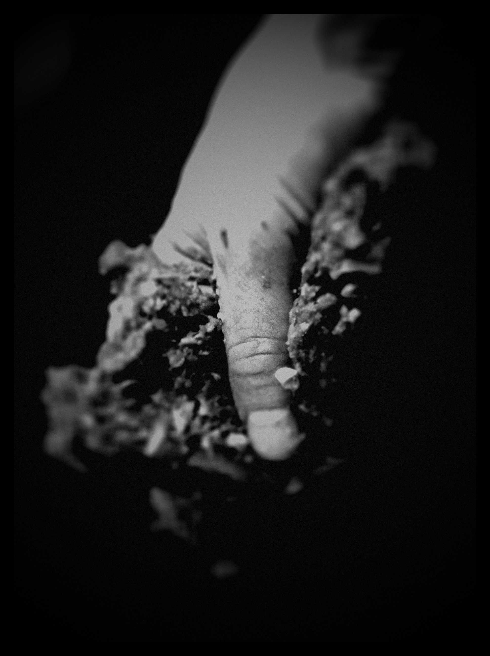 Photo 2011-12-11 22 13 37