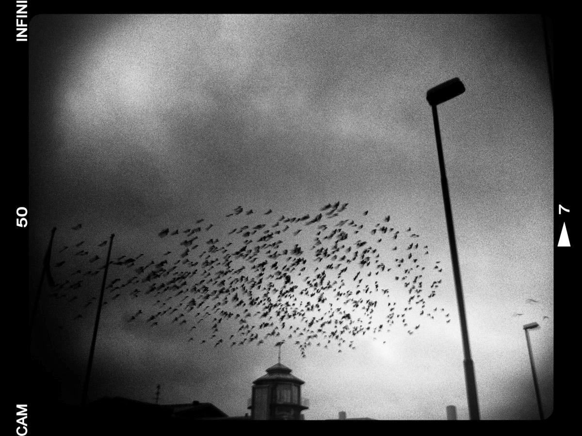 Photo 2012-04-09 20 11 10