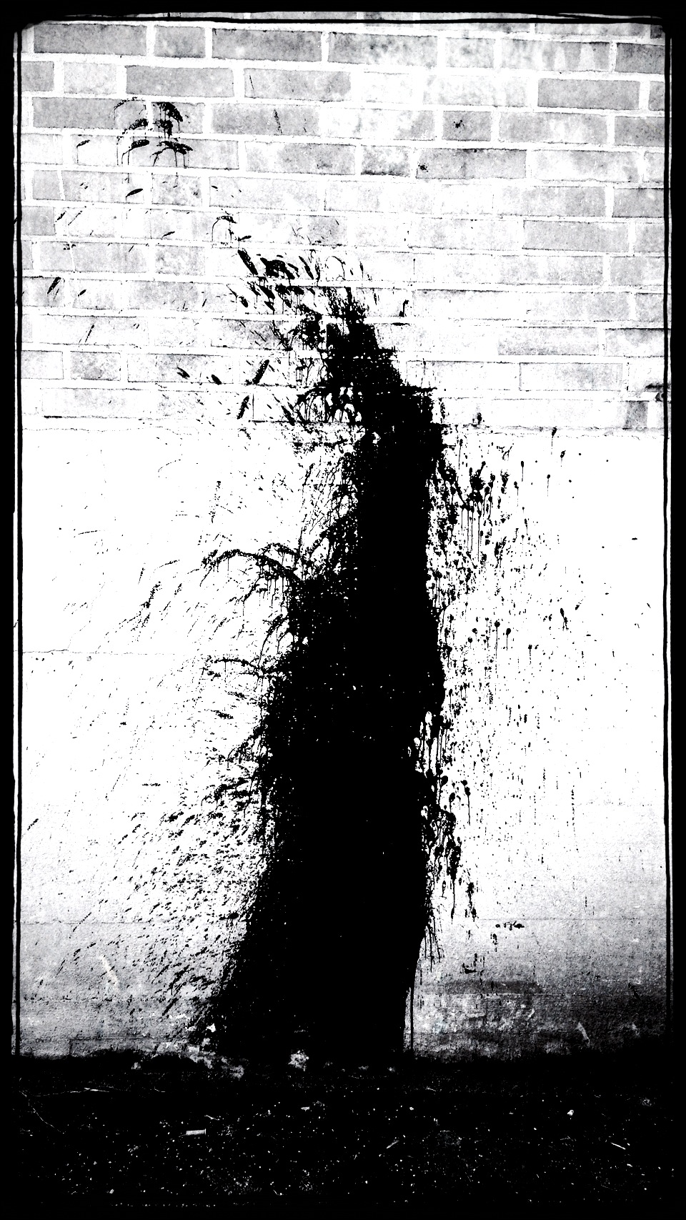 Photo 2013-03-11 22 44 59