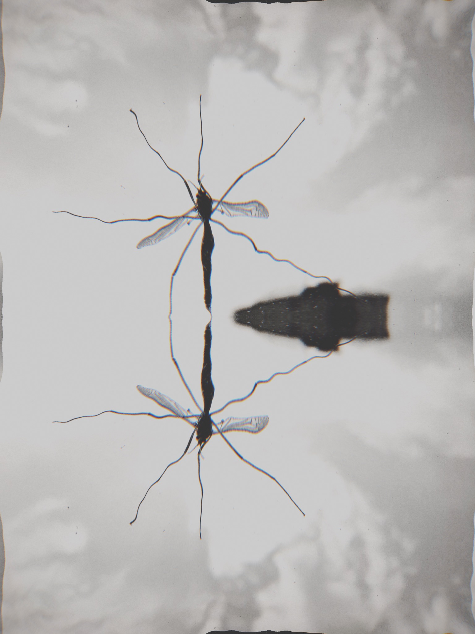 E2E4E35A-9B51-41B4-B559-E484C43228B7